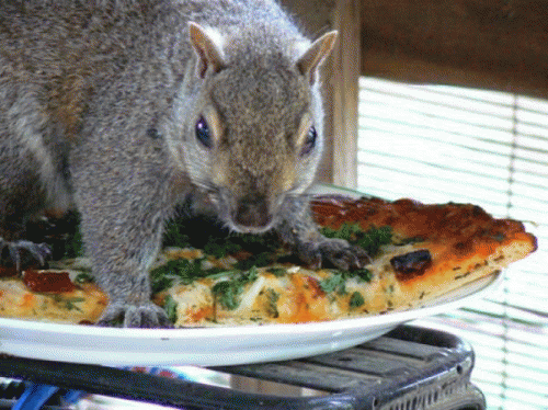 Sloth (USA-2) : What a Baddie!